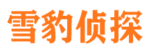 庆阳外遇出轨调查取证